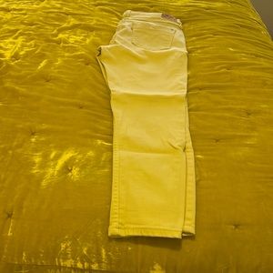 Levi Jean capri